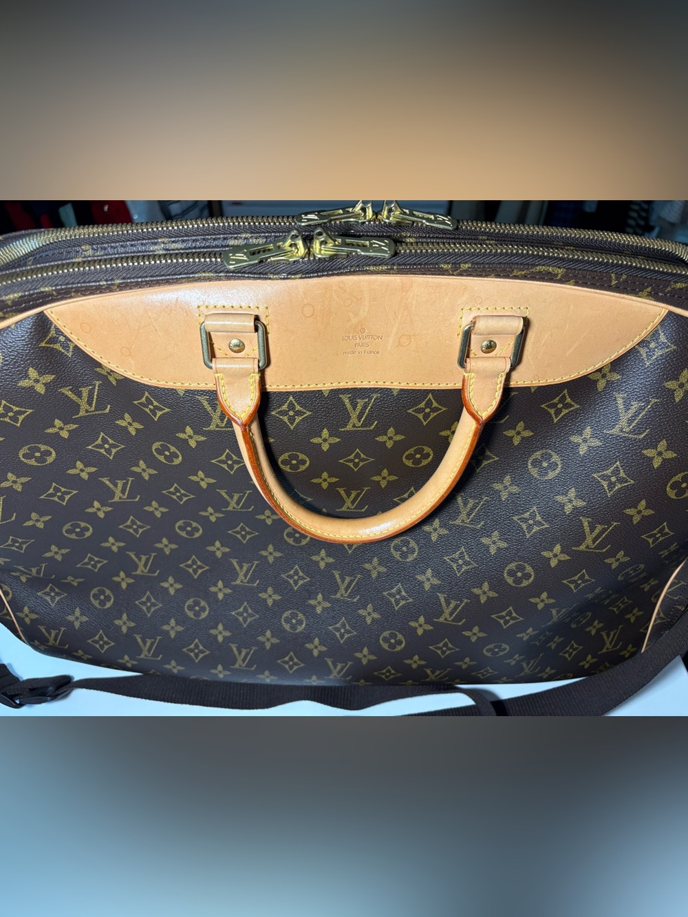 Vintage Louis Vuitton Monogram Alizé